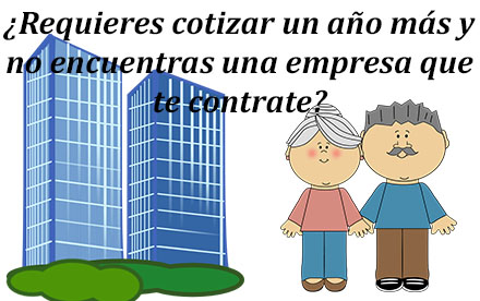 ¿Requieres cotizar un año más y no encuentras una empresa que te contrate?